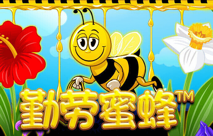 澳门最准资料免费网站2